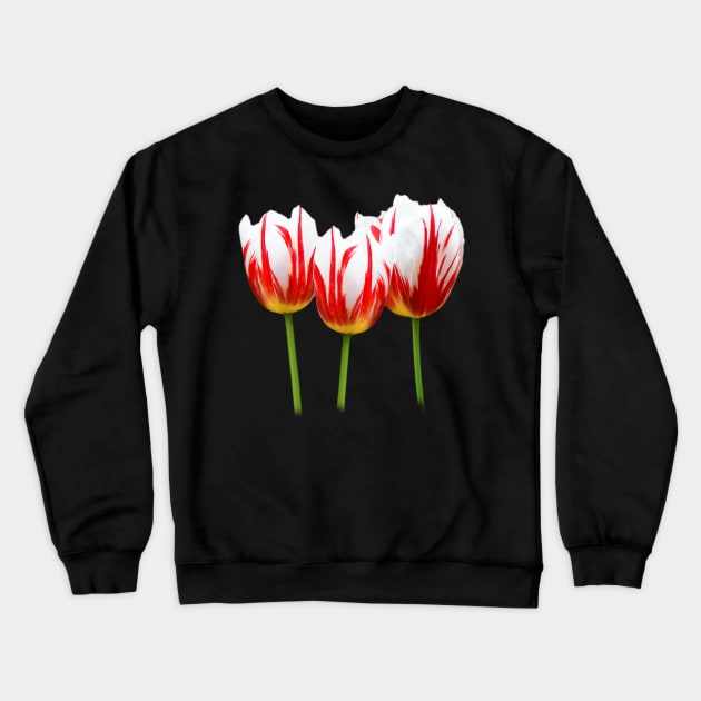 Maple Leaf Tulips on Black Crewneck Sweatshirt by walkswithnature